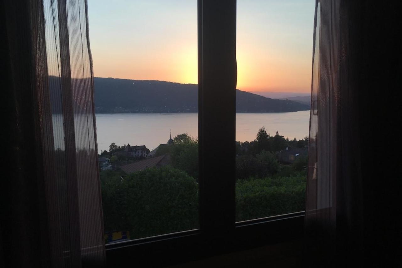Maisonnette Vue Panoramique Lac D'Annecy فيير دو لاك المظهر الخارجي الصورة