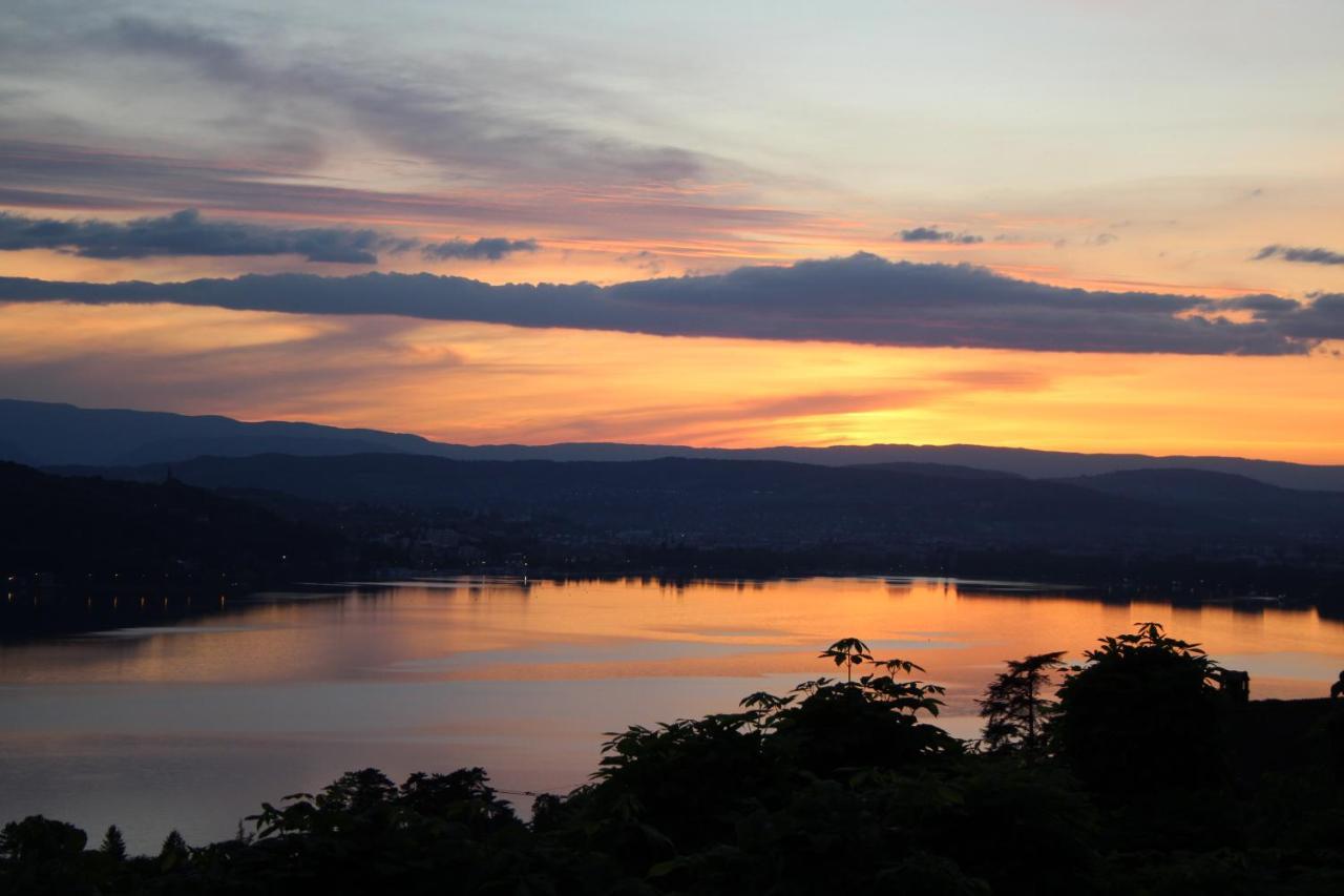 Maisonnette Vue Panoramique Lac D'Annecy فيير دو لاك المظهر الخارجي الصورة